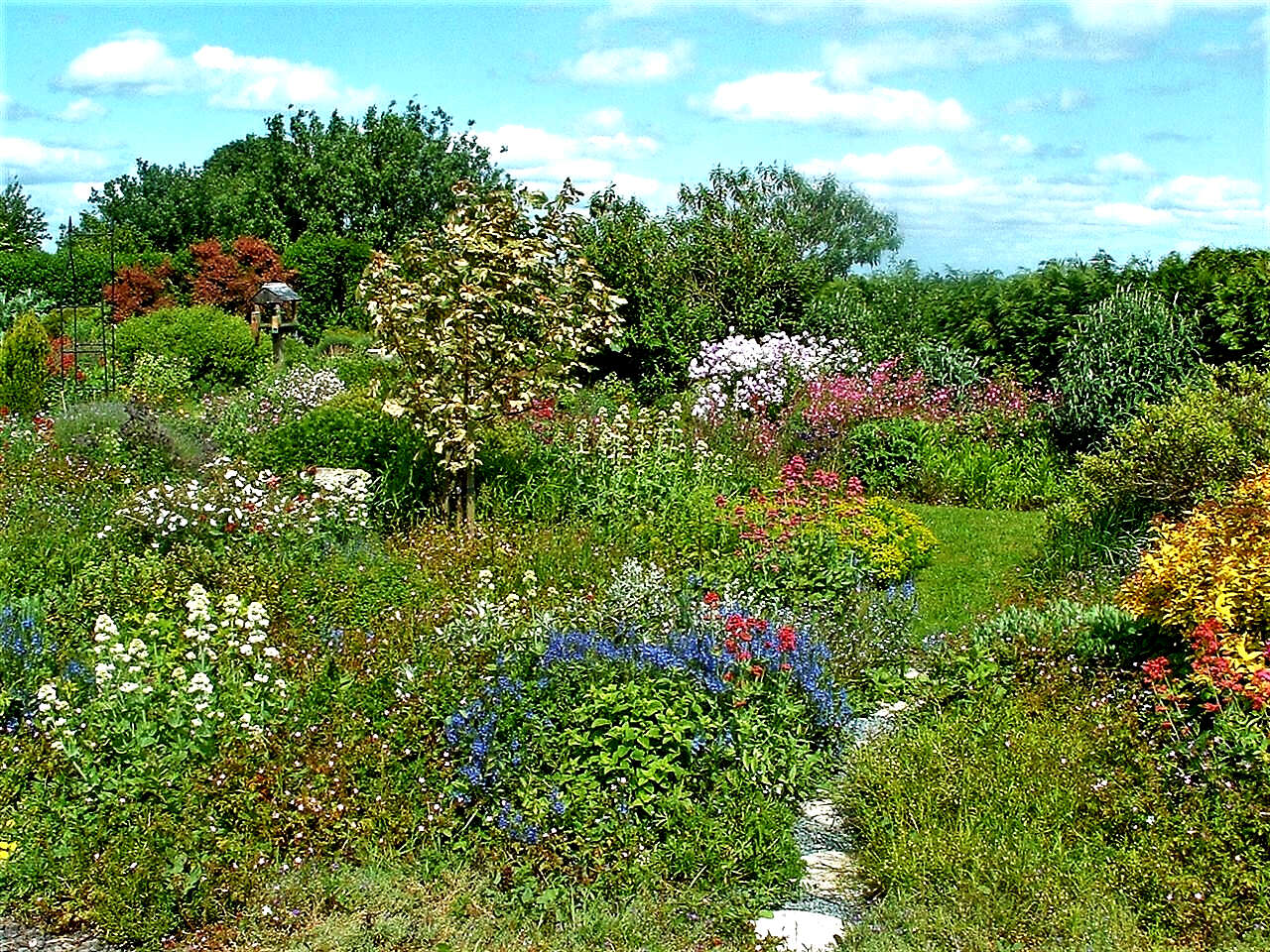 Meanwhile, the cottage garden went from strength to strength.