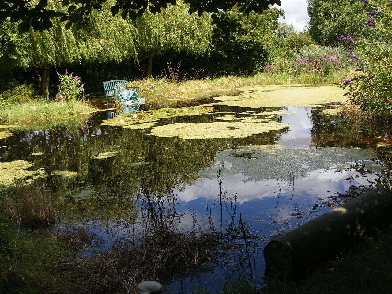 Summer floods brought the wettest and worst summer in LIVING MEMORY! Butterfly numbers plummeted, with no Brown Argus seen, after they had been doing so well.