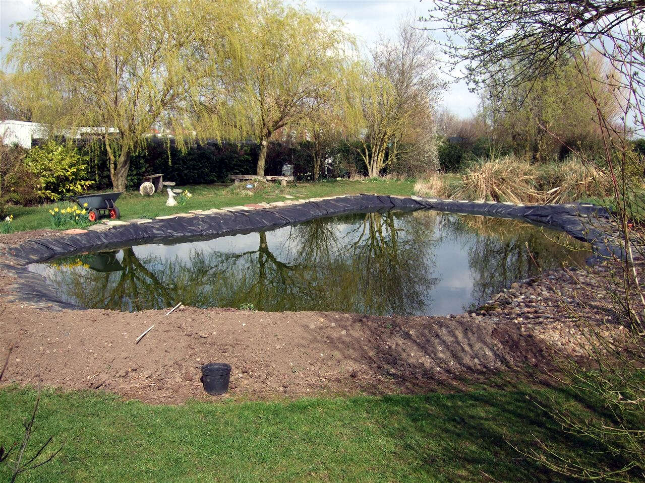 Needless to say, the pond restoration was put on hold last year but went ahead this year.