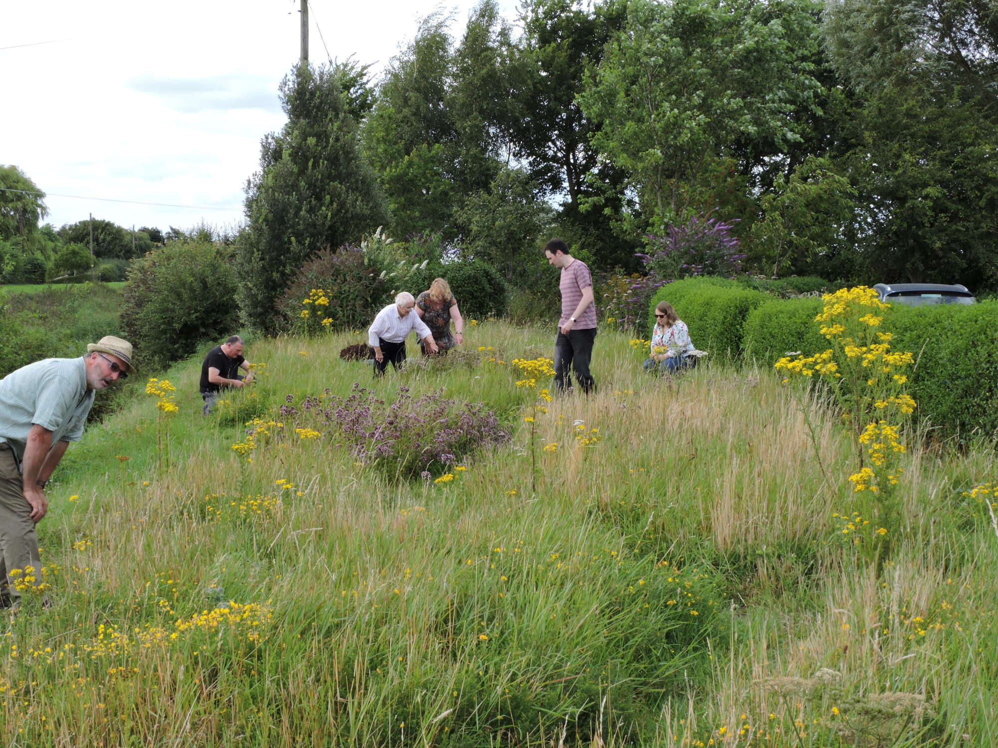 Plenty of interest was and is shown in our award winning conservation project.