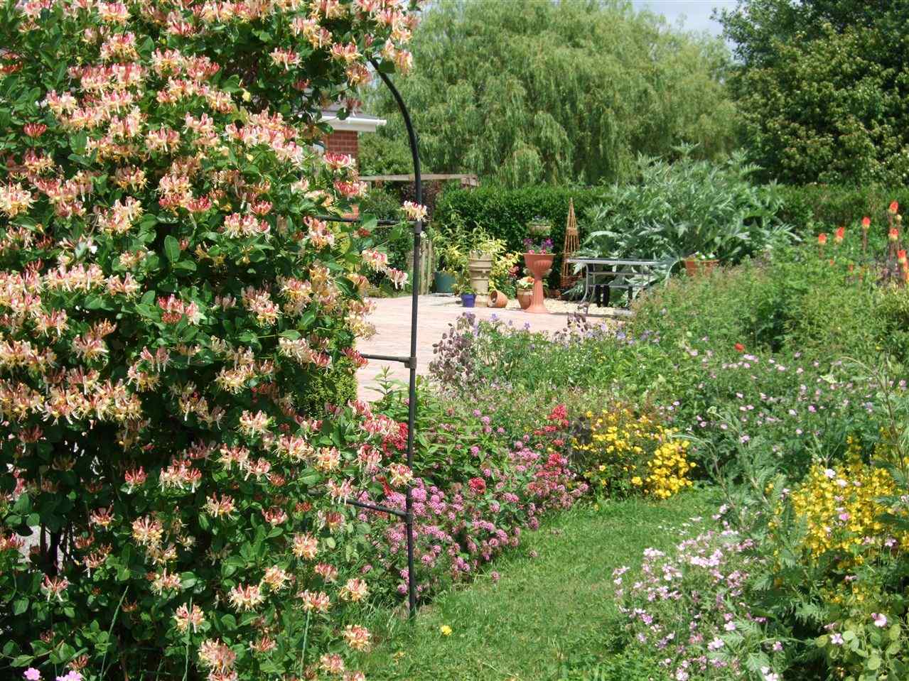 Cottage garden 1
