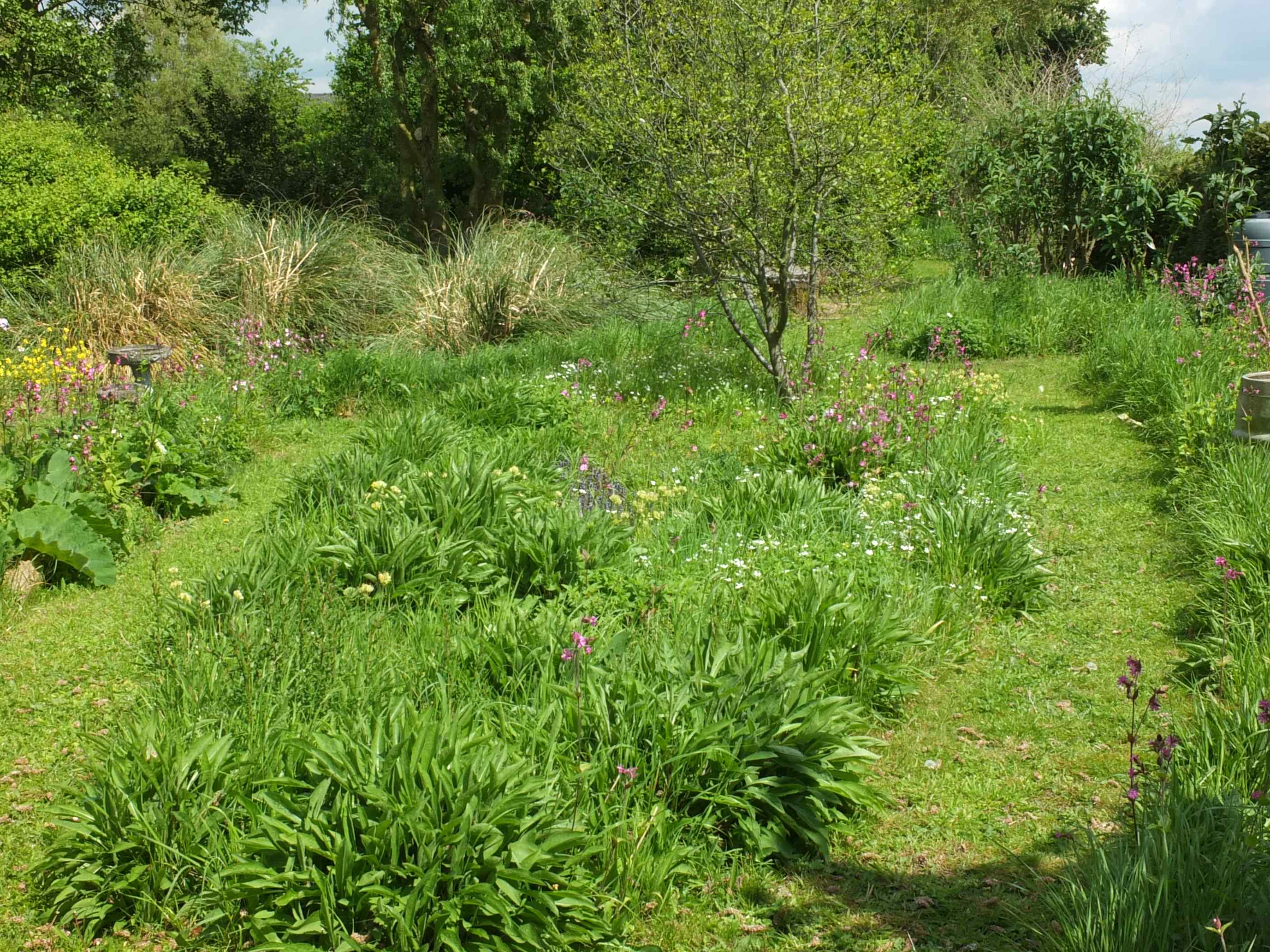 The Hollow – one of the best areas for butterflies in the whole garden.