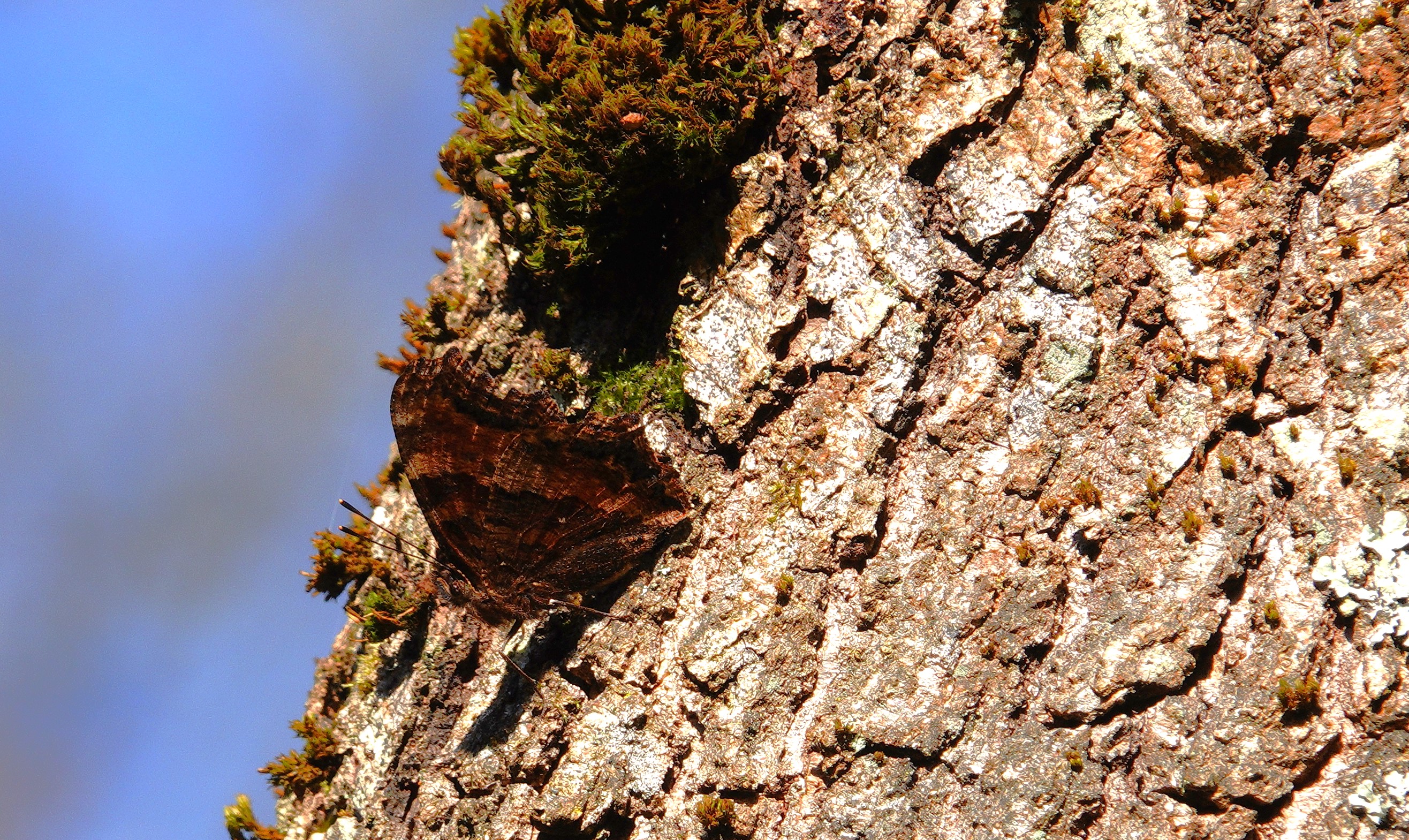 3. An underside shot