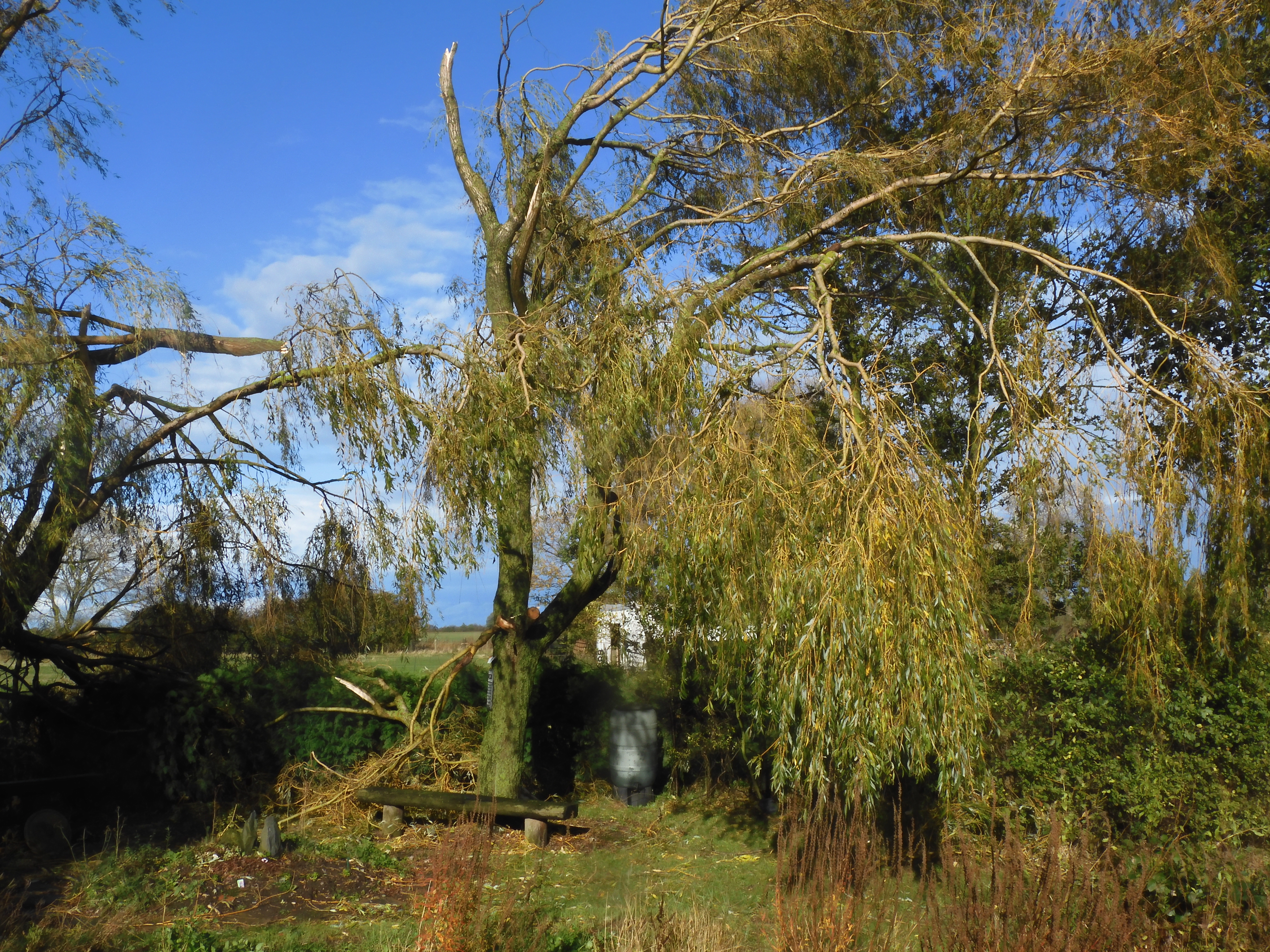 Storm damage