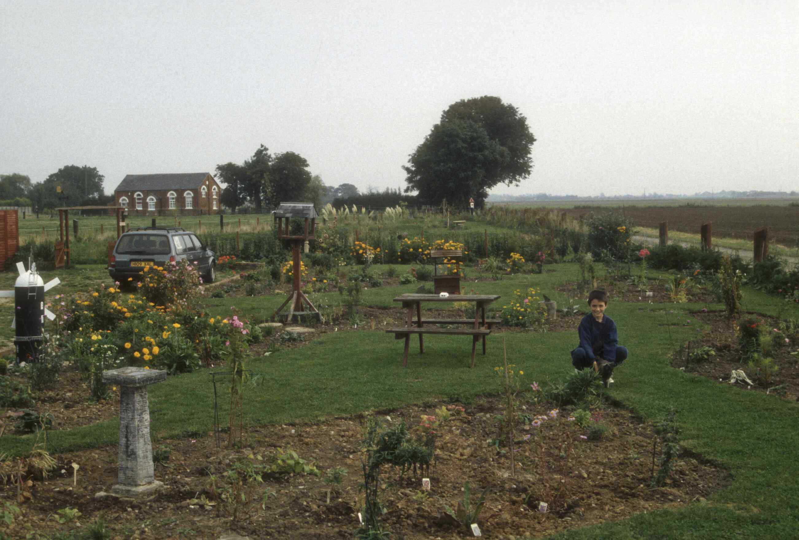 The original planting out from a blank canvas.